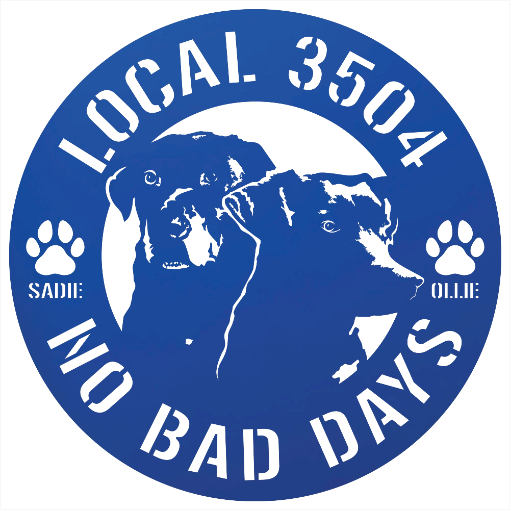 8808 - Custom Steel Wall Decor Blue
