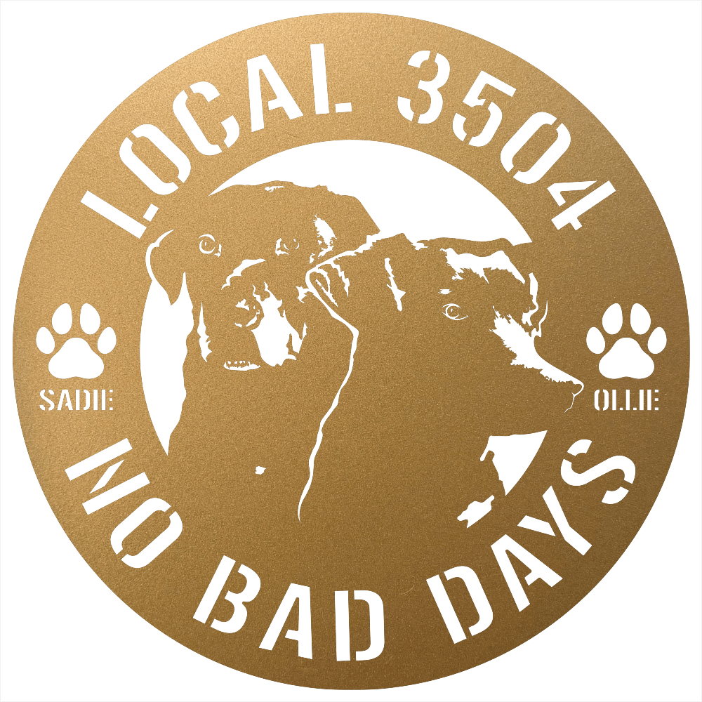 8808 - Custom Steel Wall Decor Gold