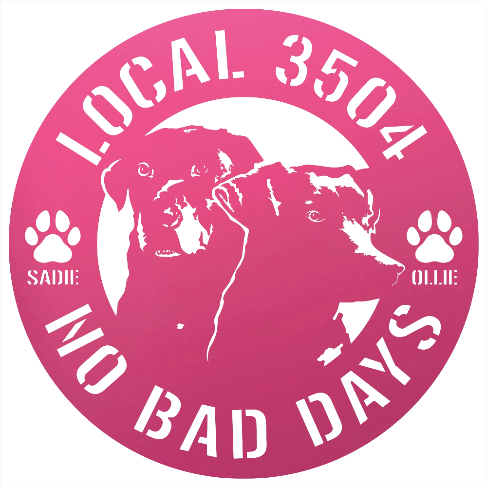 8808 - Custom Steel Wall Decor Pink